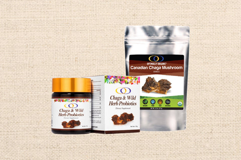 Chaga Mushroom Has Powerful Antioxidant And Dense Nutrient Composition!