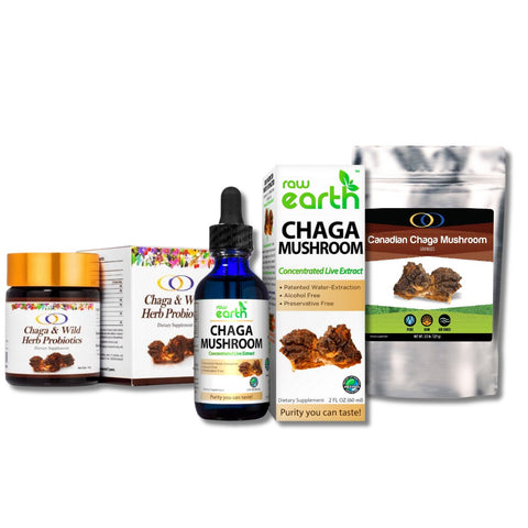 Chaga Mushroom Products