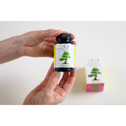 Hands presenting Red Pine Needle Oil Capsules bottle with packaging in the background. Vegan gel caps for detox and aging support.