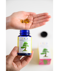 Open bottle of Red Pine Needle Oil Capsules with gel caps in hand. Vegan antioxidant-rich supplement for immune and skin health.